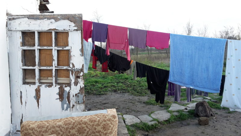 447. Korai iskolaelhagyás