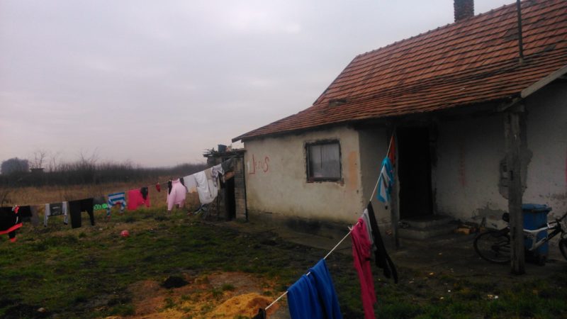 464. Tulajdonviszonyok
