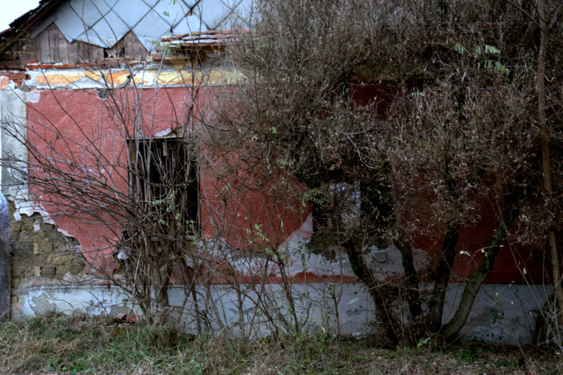 708. “Hagyni kell őket….”